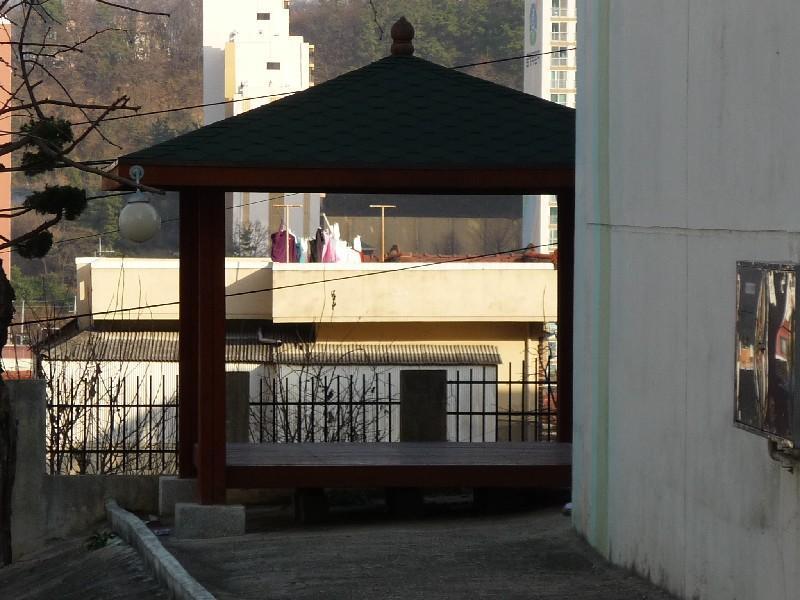P1010587