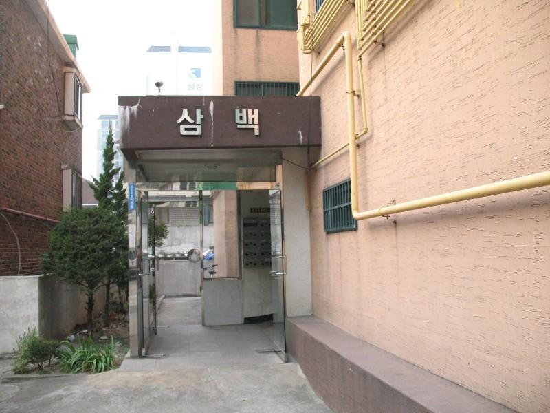 사진 983
