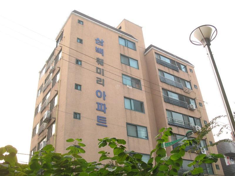 사진 977