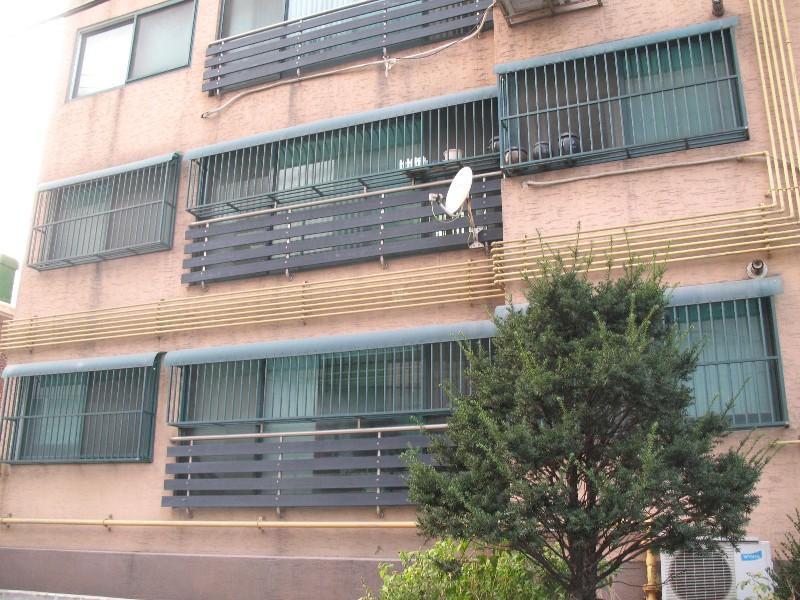 사진 981