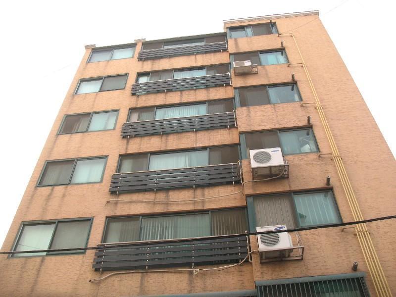 사진 982