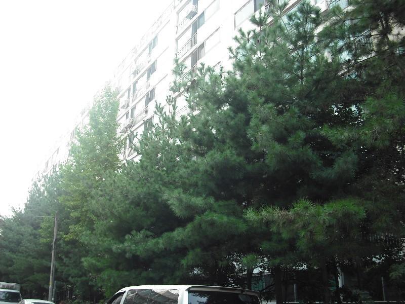 DSCF0902