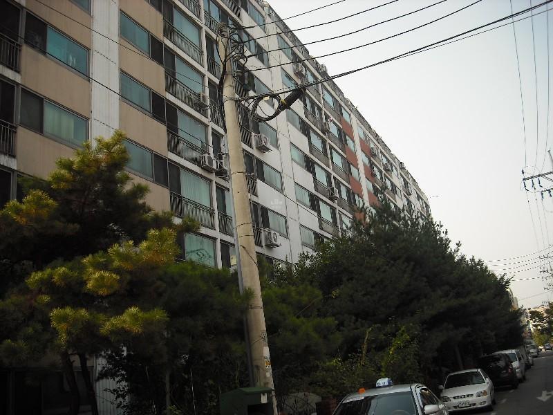 DSCF0904