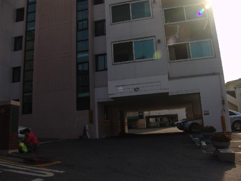 DSC09786