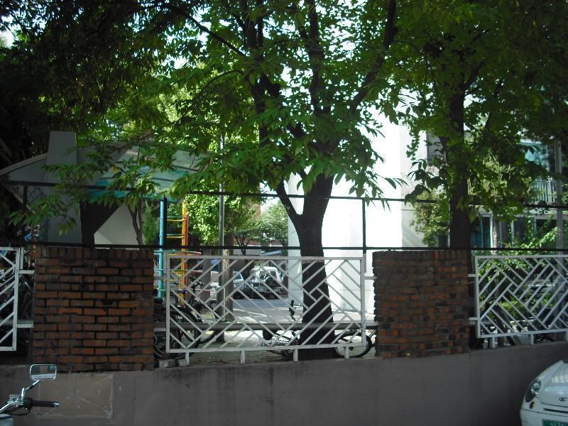 DSCF0831