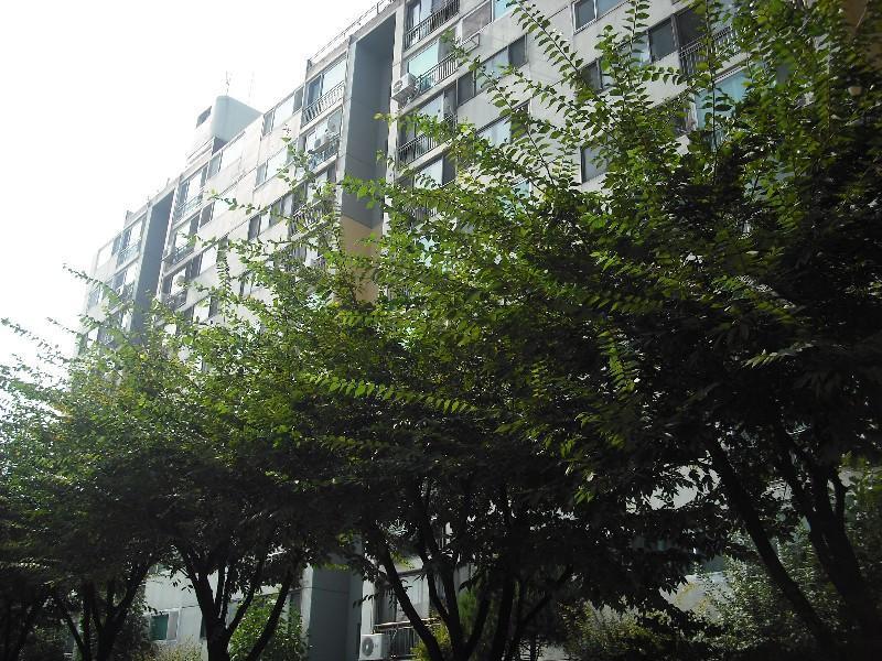 DSCF0826