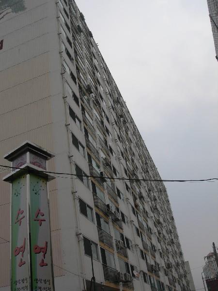 DSCN2605