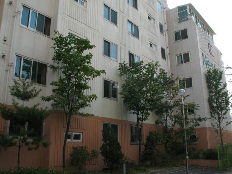 사진 403