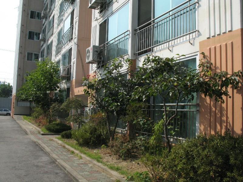 사진 405