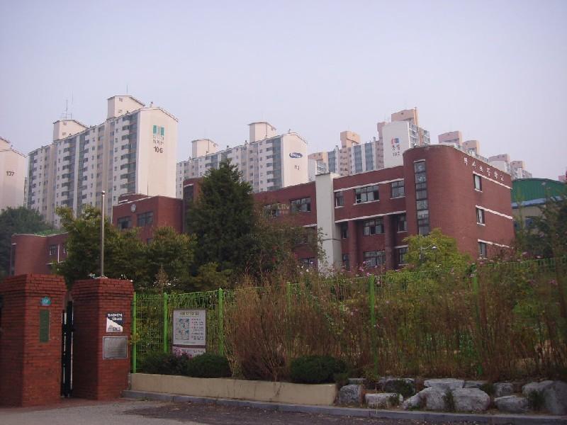 복사초교