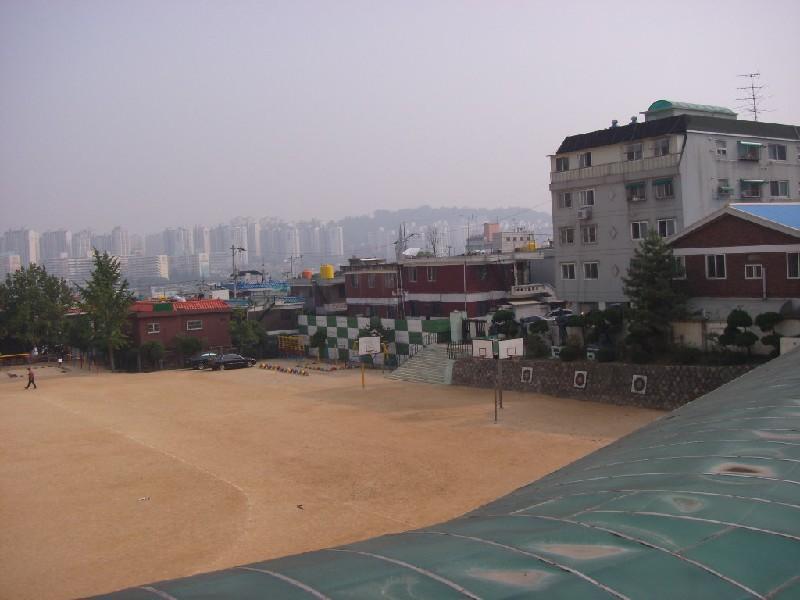 부원초교