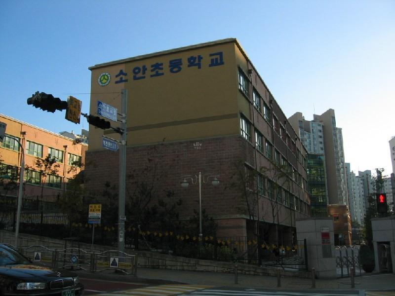 소안초