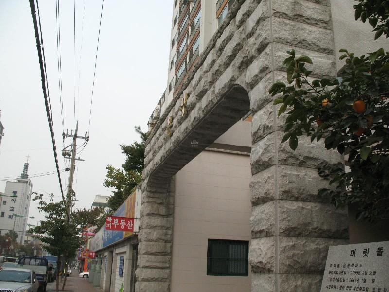 사진 264