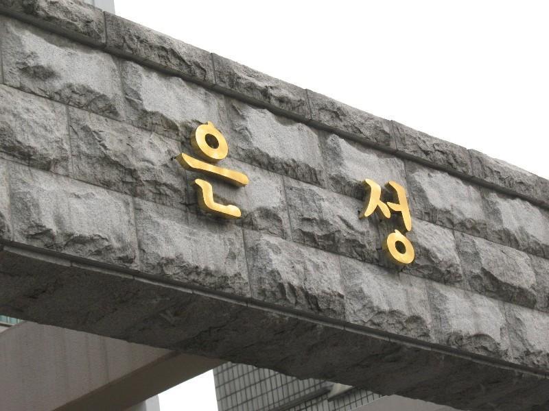 사진 261