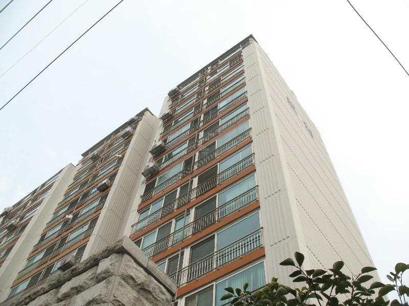 사진 263