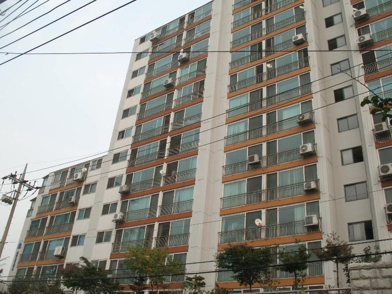 사진 265