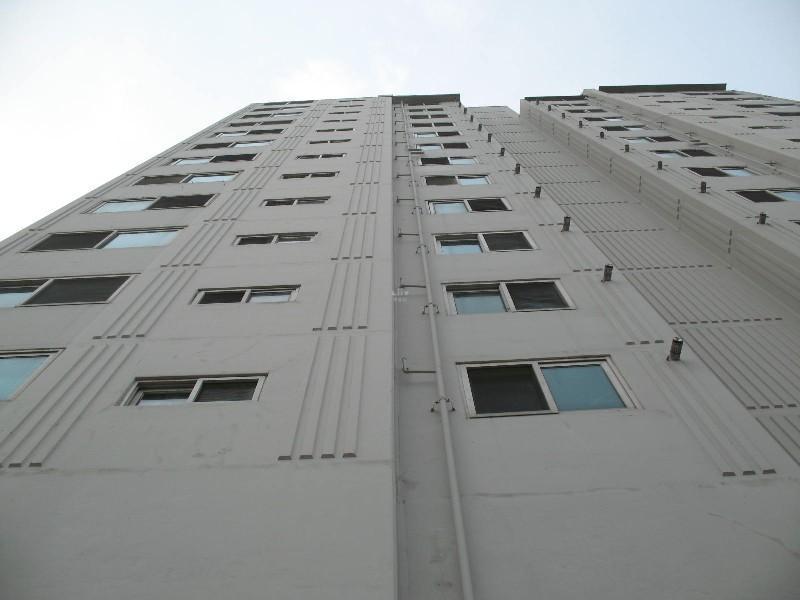 사진 273