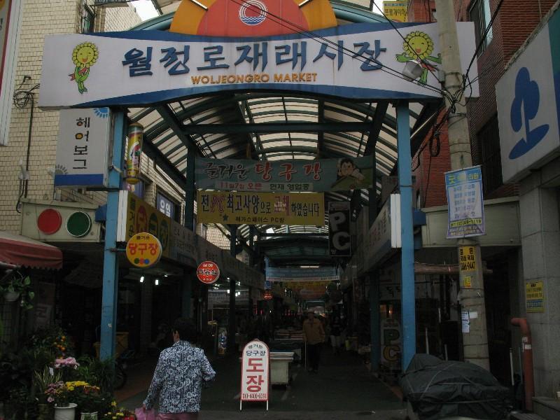 사진 268