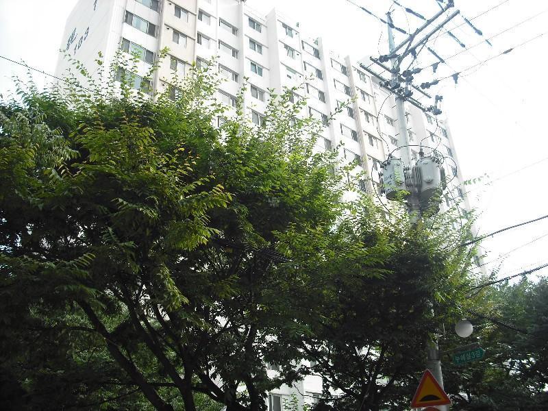 DSCF0306
