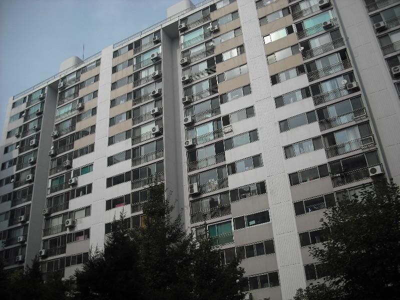 DSCF0310