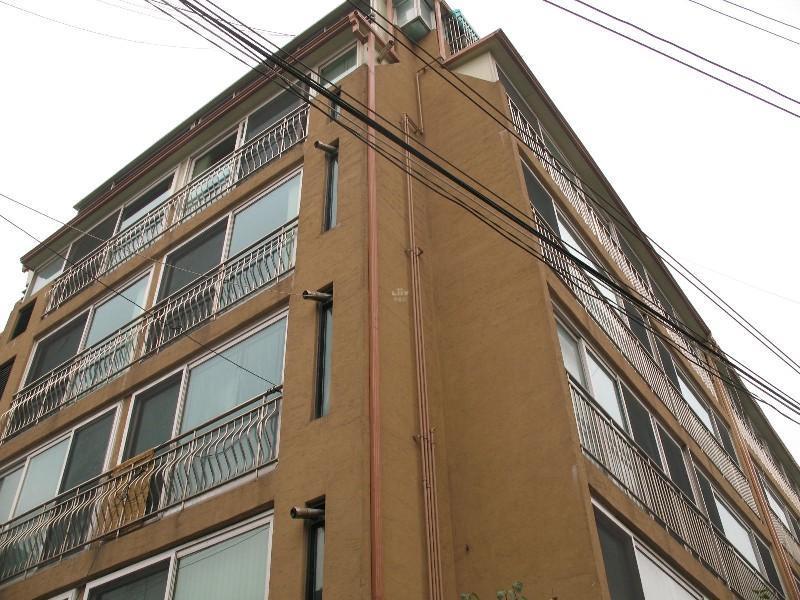 사진 223