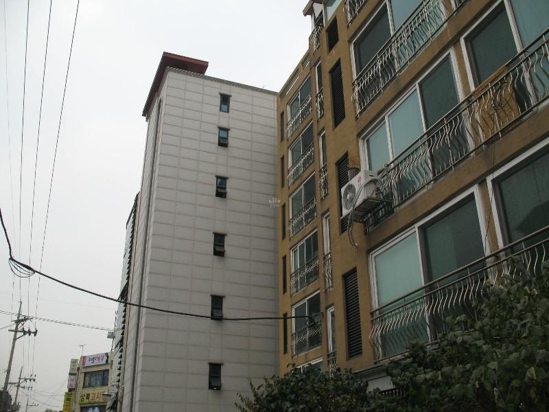 사진 224