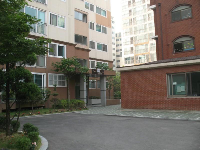 사진 799