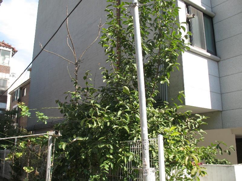 사진 184