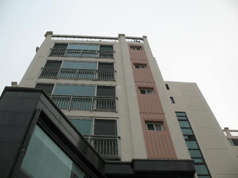 사진 384