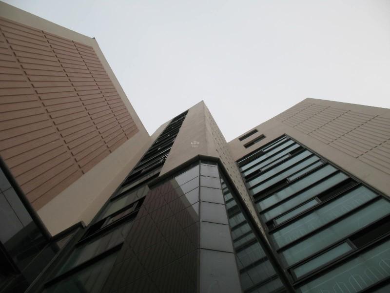사진 386