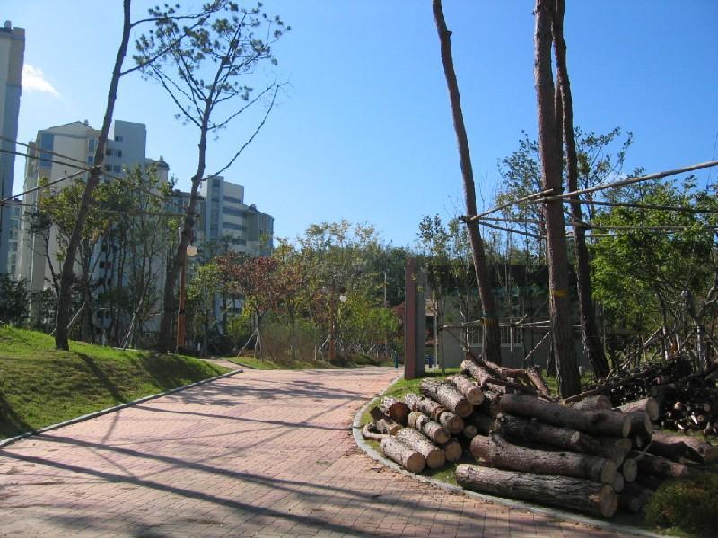 체육 공원