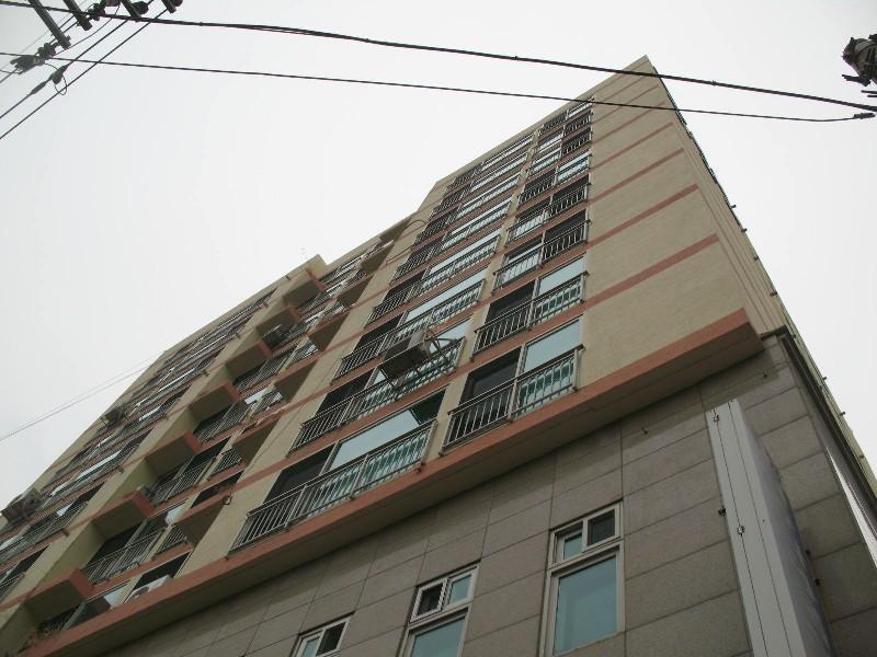 사진 418