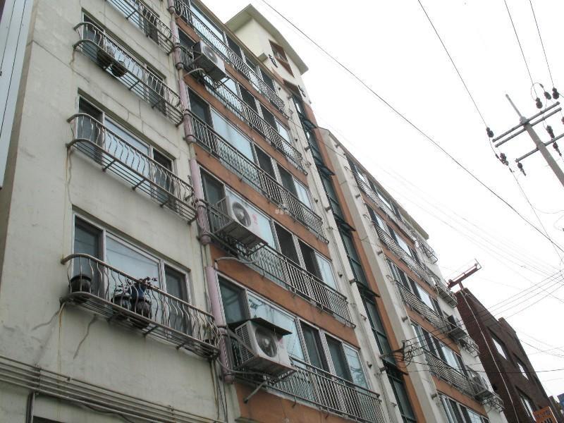 사진 104