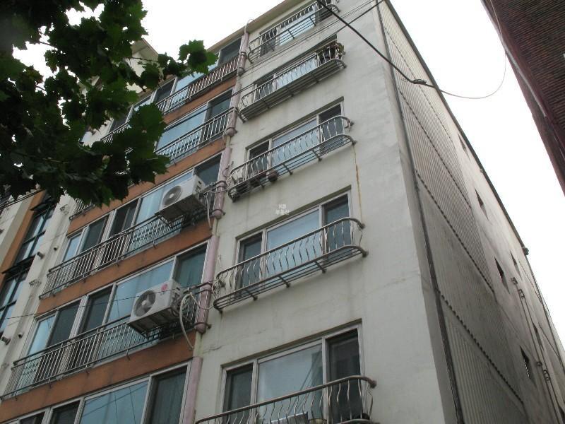 사진 110