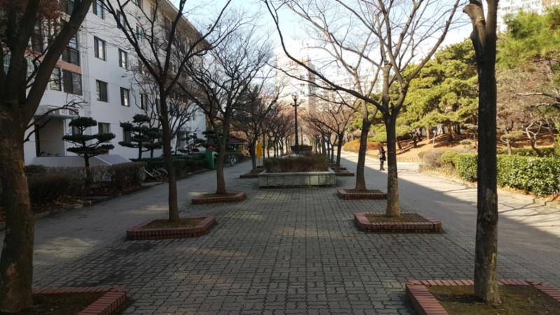 단지 내 보행로 모습이에요
