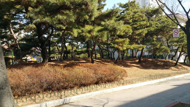 단지 내 위치한 산책로와 입주민 운동시설들이 배치되어 있고 휴게시설과 가로등이 설치되어 있어 편리하게 이용하실 수 있어요
