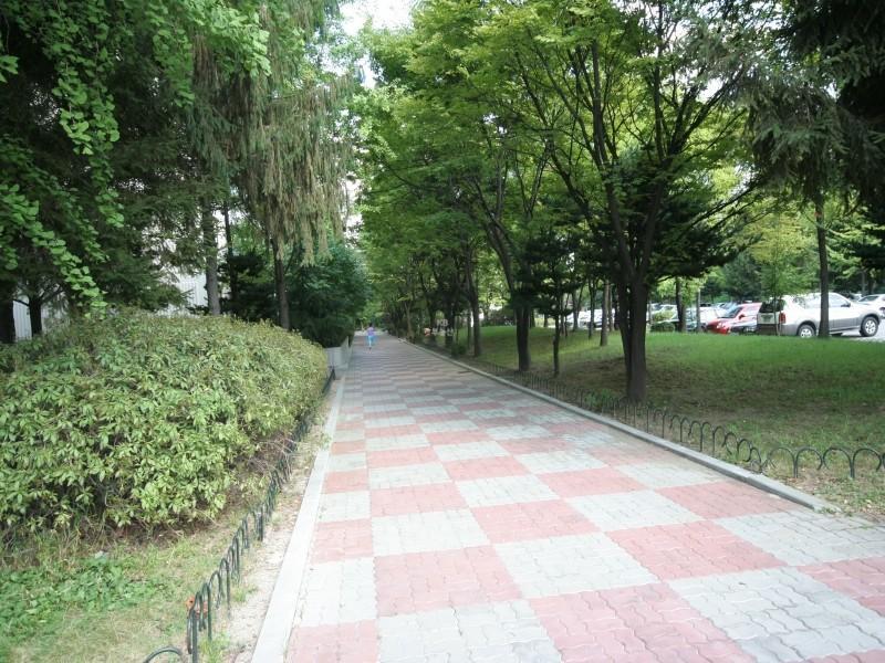 산책로