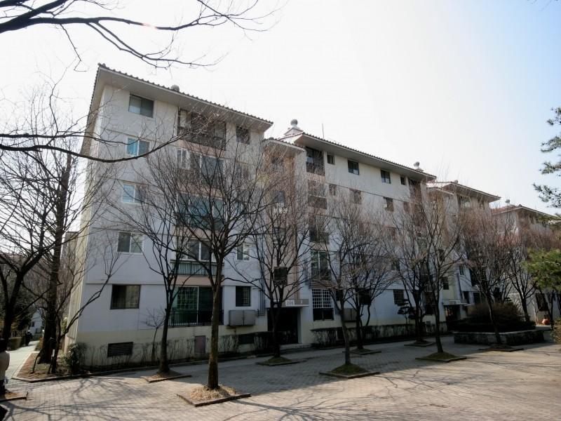206동