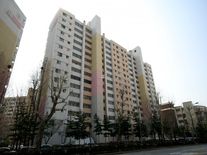 217동