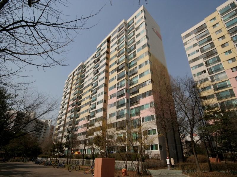 219동