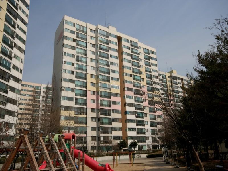 223동