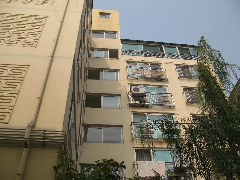사진 469