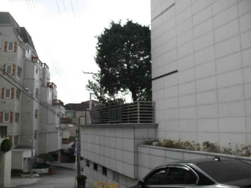 사진 321