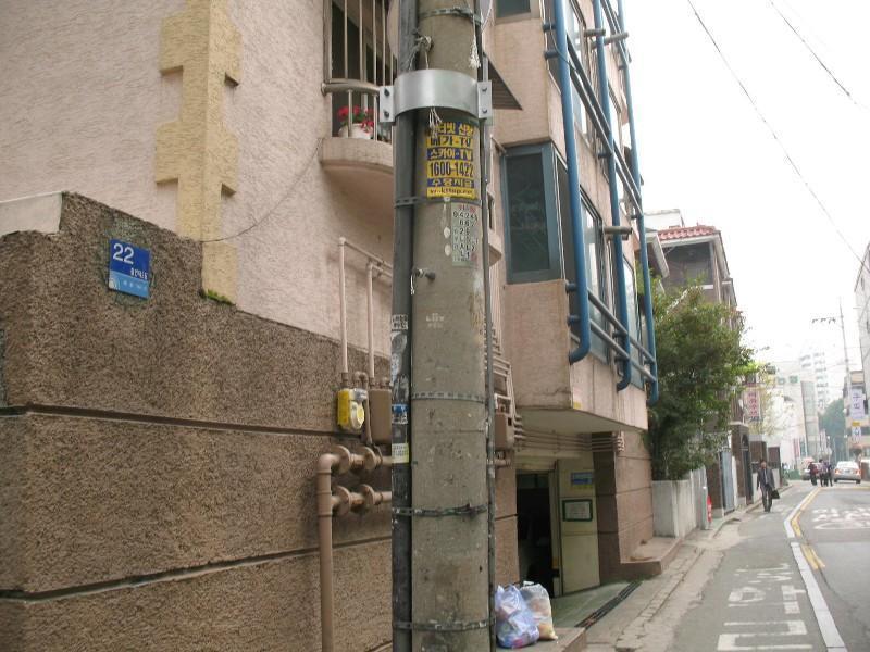 사진 393