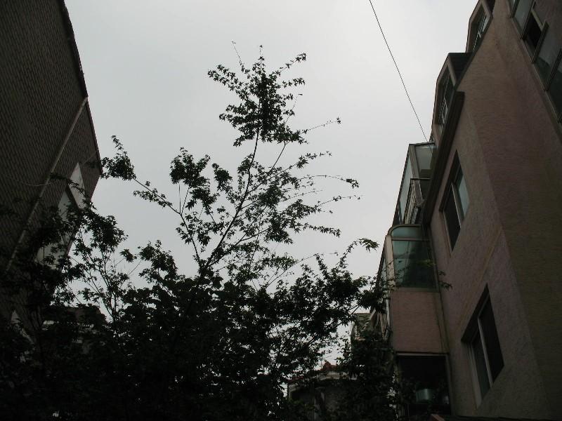사진 398