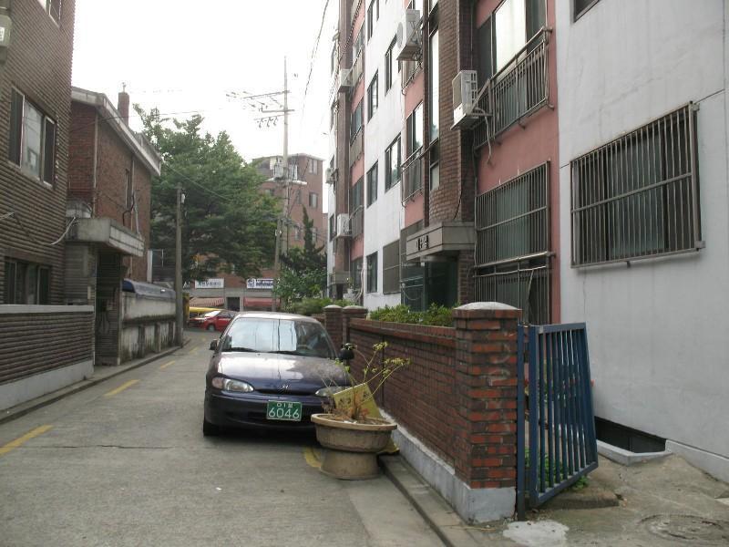 사진 413