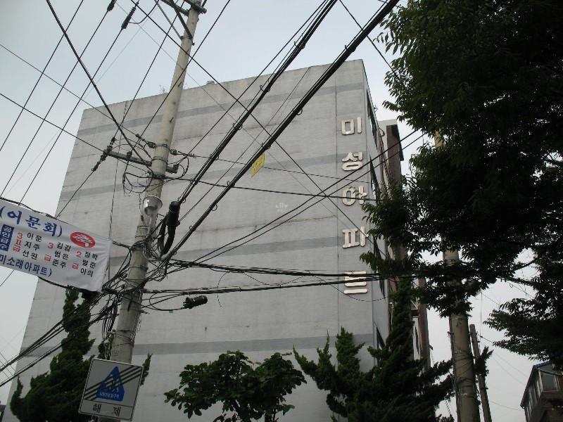 사진 403