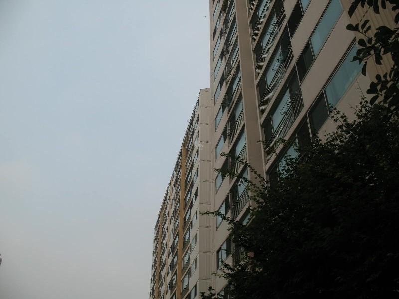 사진 075