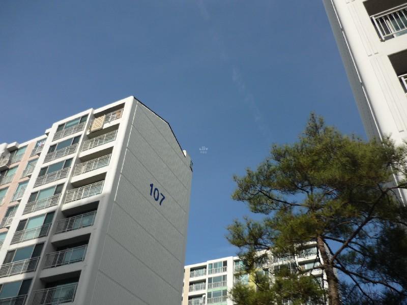 P1020431