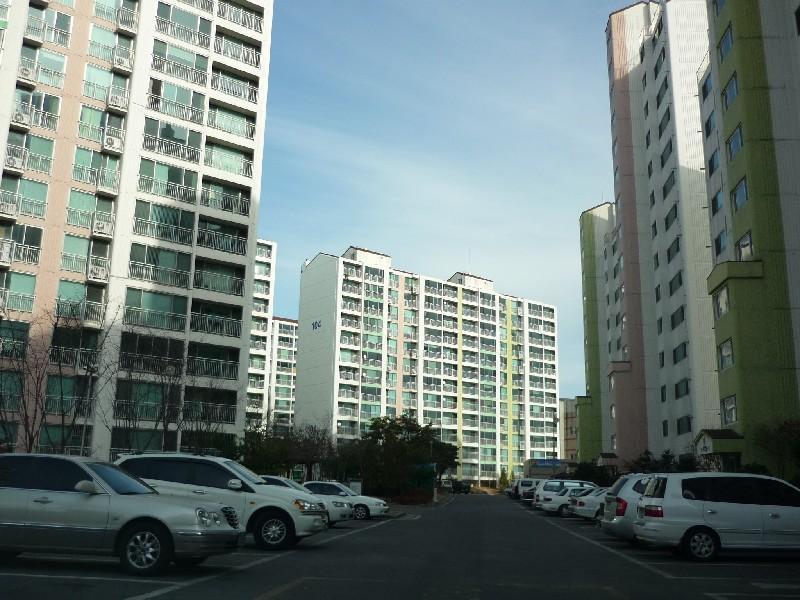 P1020424